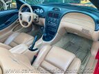 Thumbnail Photo 8 for 1994 Ford Mustang Cobra Convertible